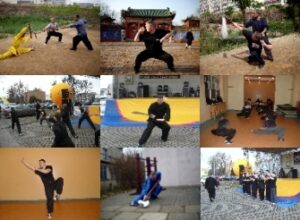 Zapisy na zajęcia i treningi sztuki walki kung fu wushu we Wrocławiu